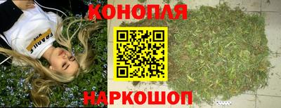 сатива Краснокаменск