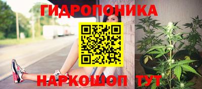 гидра Краснодар